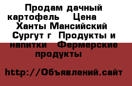 Продам дачный картофель. › Цена ­ 25 - Ханты-Мансийский, Сургут г. Продукты и напитки » Фермерские продукты   